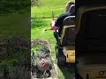 Beautiful Gardening in the Series 5 Powerchair! #shorts #gardening #powerchair