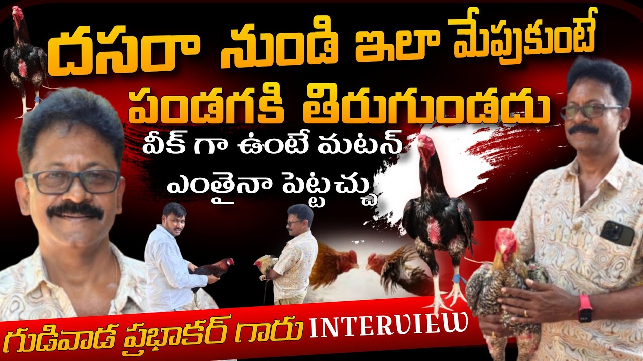 విజయదశమి నుండి సంక్రాంతి వరకు ఇలా సిద్ధం అవండి GP Sir 