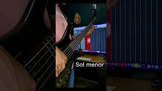 Adorno Bajo Eléctrico Corrido Tumbado