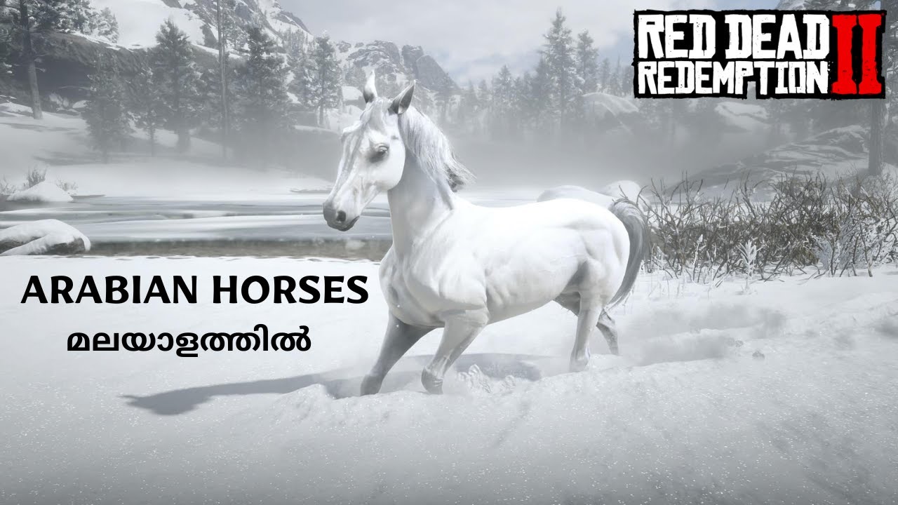 Arabian Horses | rdr2 | Malayalam | Cobra Barrel