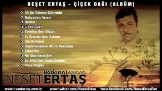 Neşet Ertaş - Çiçek Dağı