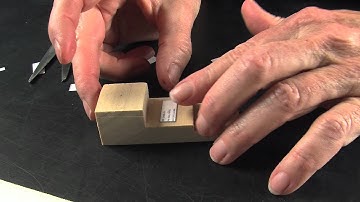 Insect Labeling