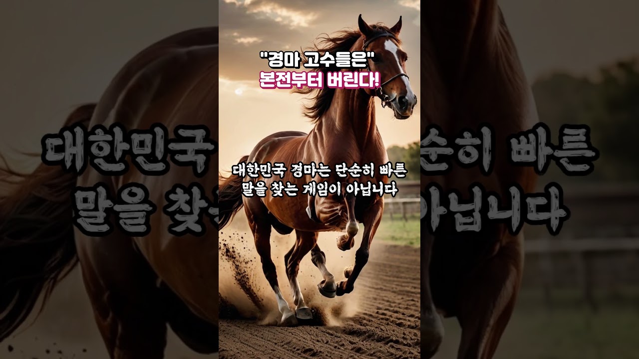 경마 고수들은! "본전부터 버린다!"
