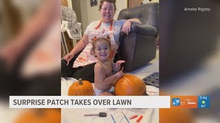 Surprise patch takes over lawn