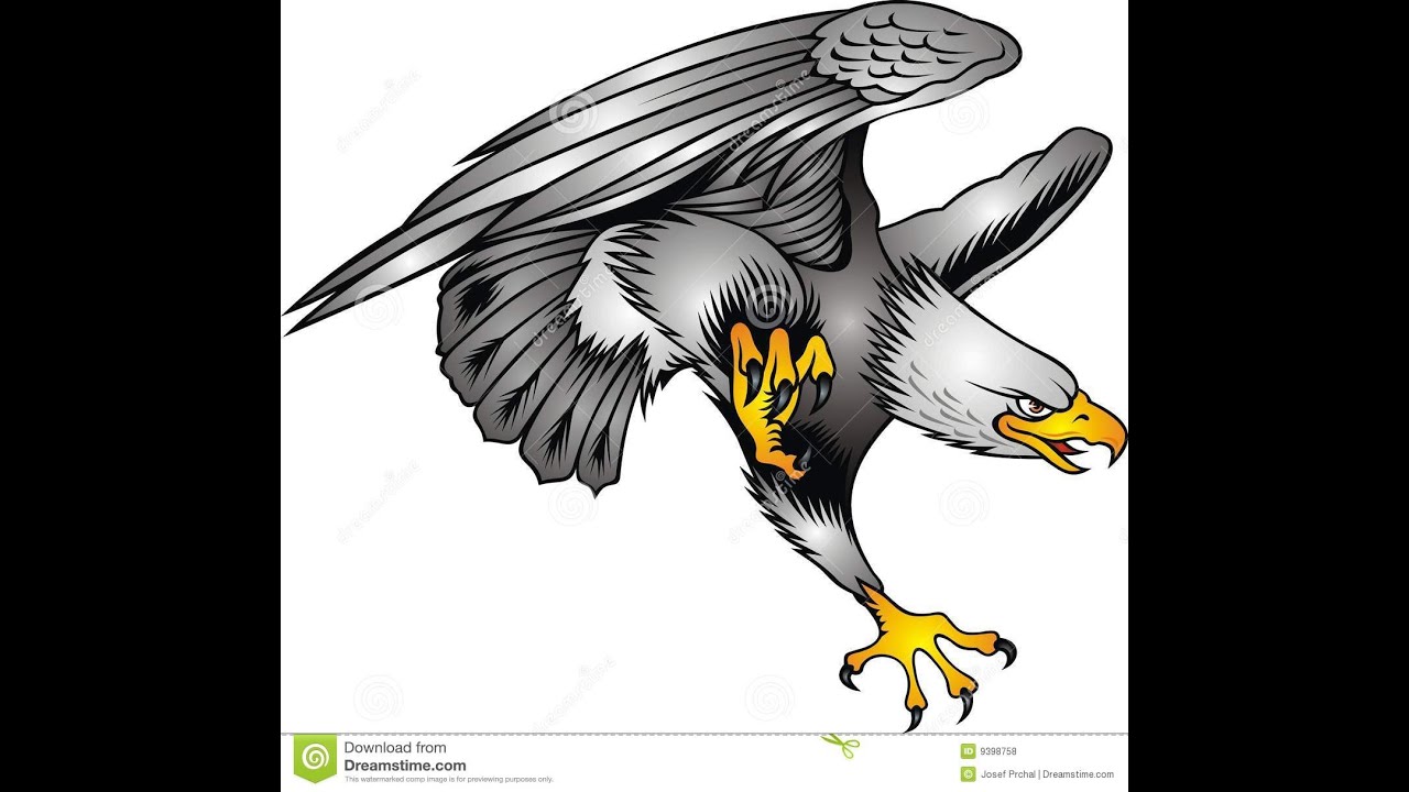 Орел изображение символ. Белоголовый Орлан вектор. Орел рисунок. Эмблема птицы. Геральдический ястреб.