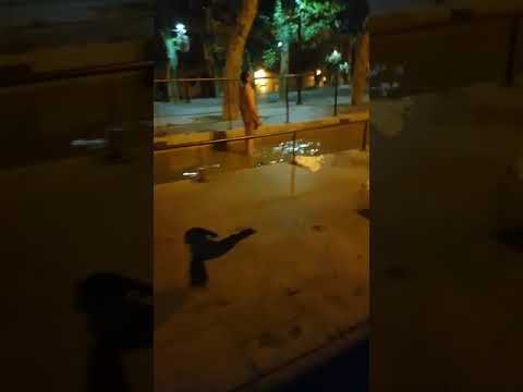 Navidades 2018: como los peces en el río