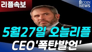 리플, 5월27일 오늘 리플 , CEO 폭탄발언