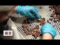 BENNS貝納絲 至醇純素黑巧克力生酮巧克力(買2送2-四入家庭裝) product youtube thumbnail