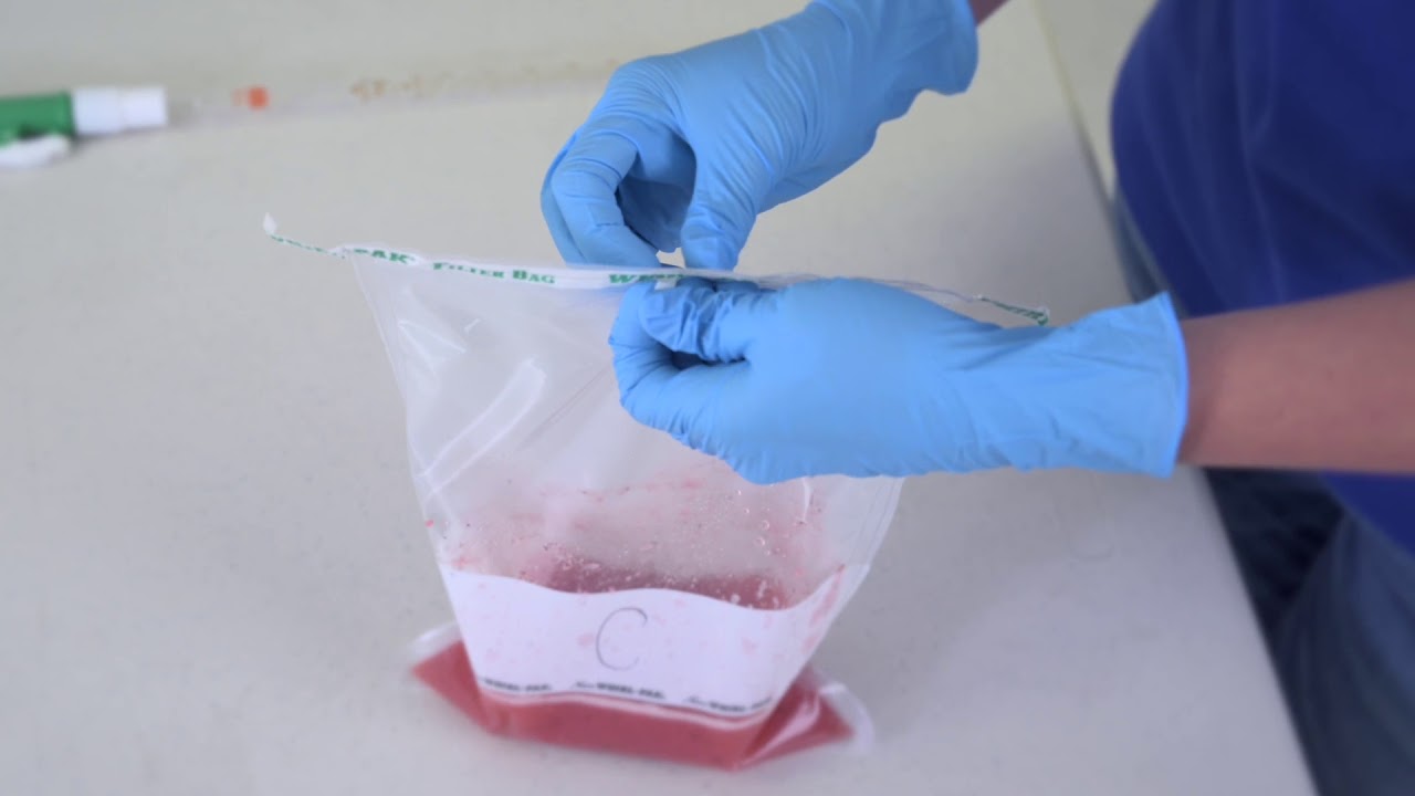 VWR Sterile Sample Bags with Specimen Sponge KSS-61100