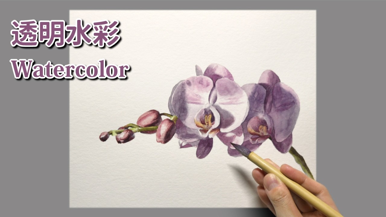水彩画] 2時間30分で描くリアルな胡蝶蘭の花のメイキング | 描き方