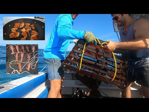 video Crayfish Hunting 2.0 and How To Cook Popcorn Crayfish Catch and Cook , Worldwide Recipes Crayfish Hunting 2.0 and How To Cook Popcorn Crayfish Catch and Cook