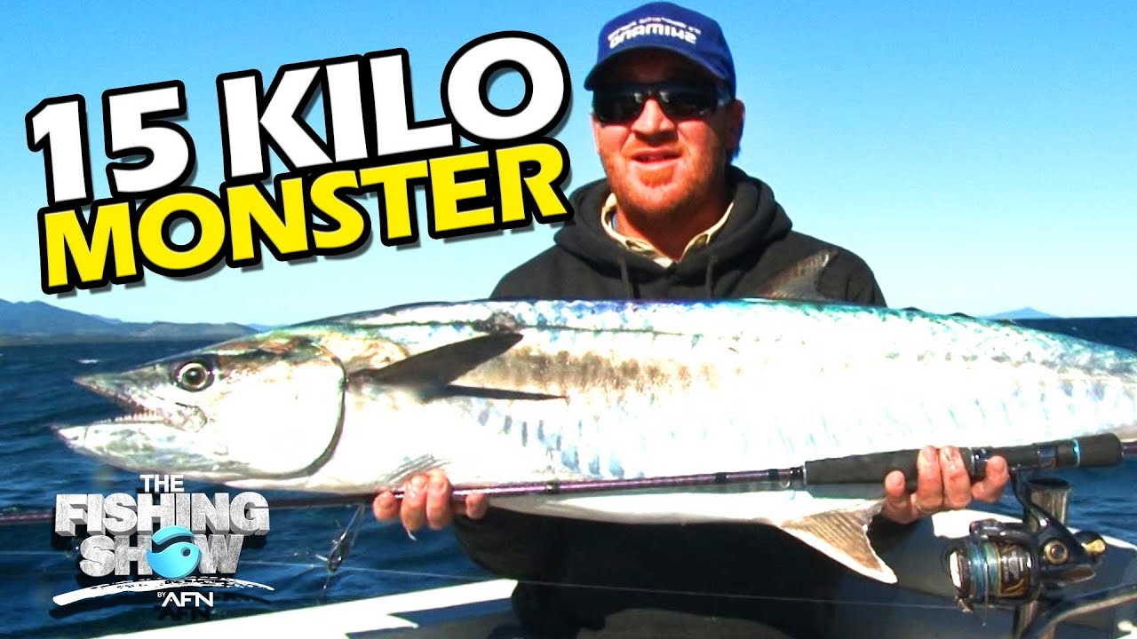 Catching a 15 Kilo Spanish Mackerel Monster Colorful Spanish Mackerel