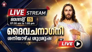 LIVE 15 2026