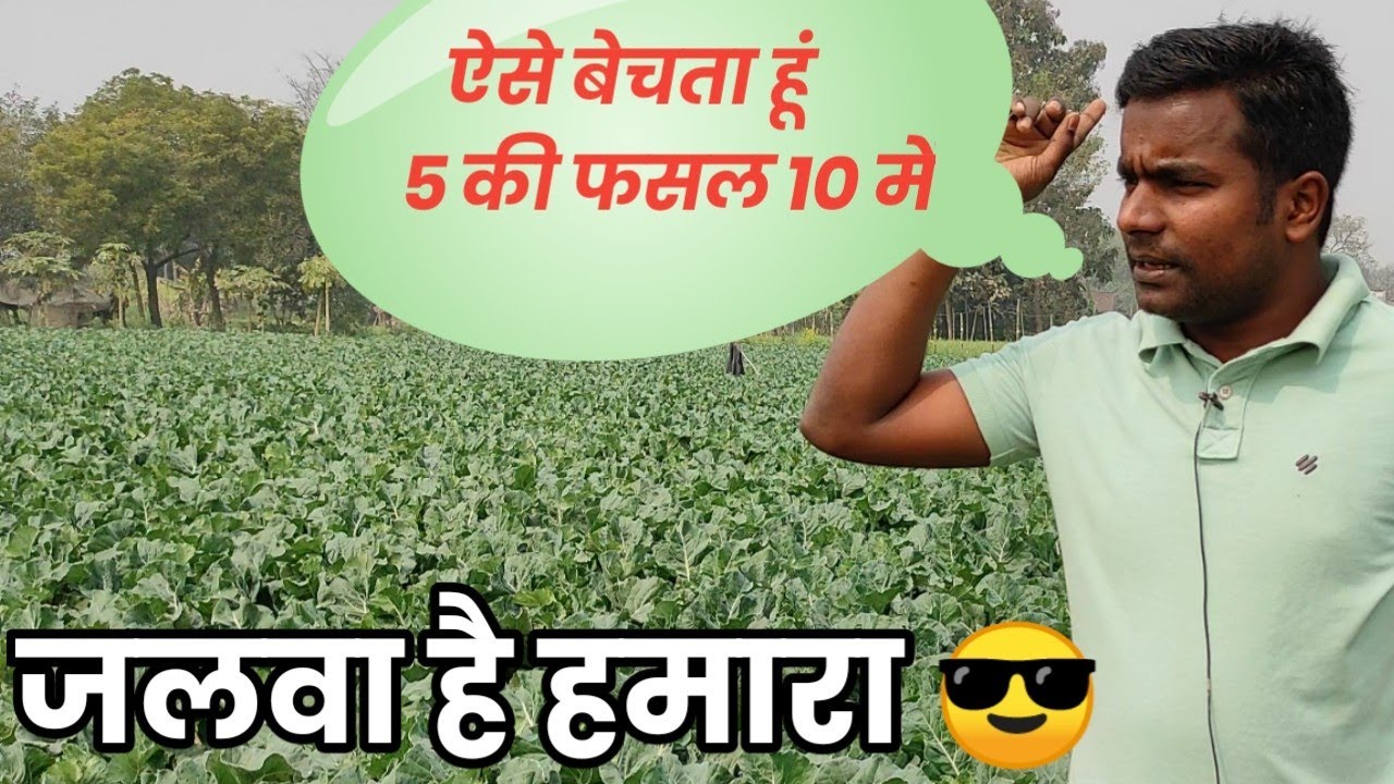 Dev Maurya के फसल का भयंकर रेट पाने का रहस्य // Smart Kisan - YouTube