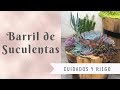 Barril de Suculentas / Mantenimiento y Riego