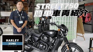 STREET 750 / STREET 750 Vehicle Review! Sound Check and Reach to