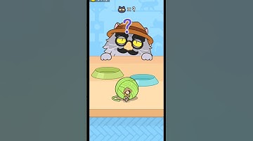 CAT ESCAPE! HIDE AND SEEK #shortsfeed #shorts