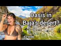 Overlanding bajas less explored sierra mountains  van life mexico