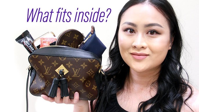 What's in my purse featuring my Louis Vuitton Delightful PM 