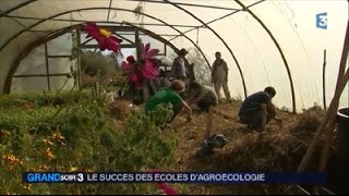 SOIR 3: Le succés de l'agroécologie