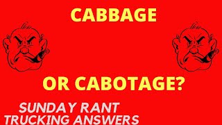 Journalists discover CABOTAGE | Sunday Rant | Trucking Answers