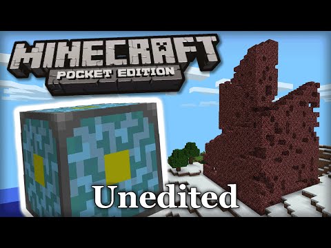 [UNEDITED] Revisiting the Nether Reactor