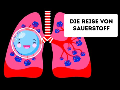 Video: Wer schickt sauerstoffarmes Blut in die Lunge?