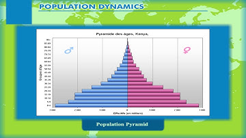 Population Dynamics – The Population Pyramid class-8