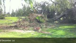 December 1, 2011 Destruction In Arcadia From The Santa Ana Wind