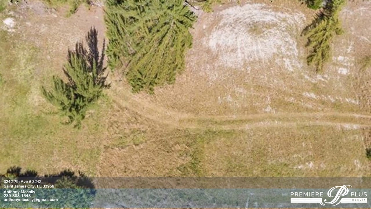 3242 7th Ave # 3242 Saint James City FL 33956 - Anthony Mccolly