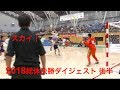 【ハンドボール】後半Part2 2018年高校総体決勝ダイジェスト！氷見高校の攻撃が派手！【Handball】