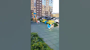Девичий виноград, необычное использование #девичийвиноград #декордлясада  @sadbezsekretov