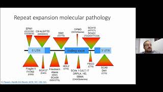 Constitutional genetic disease diagnosis: Solving microarray, panel and exome negative cases