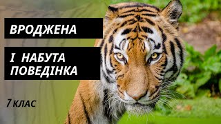 Вроджена і набута поведінка тварин.