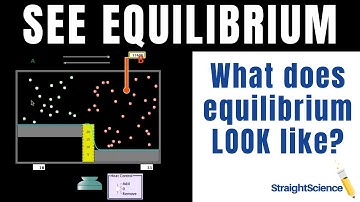 How to Visualize Equilibrium - Using the PhET on Reversible Reactions