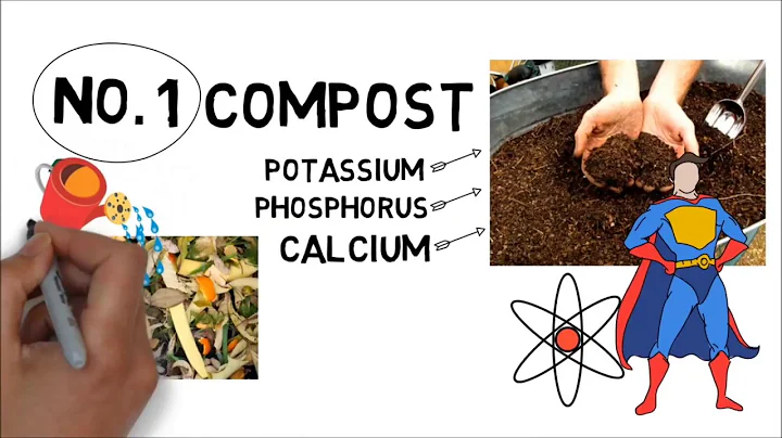 You Will Never Throw Away Banana Peels After Watching This - (Hindi)