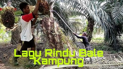 Lagu Ambon Rindu Bale Kampung//cocok untuk anak rantau
