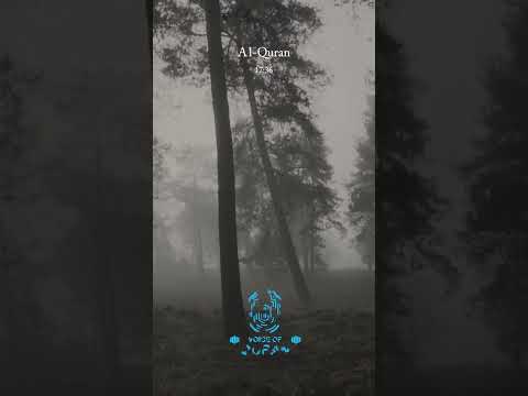 Surah Al-Isra 36 | Voice Of Quran