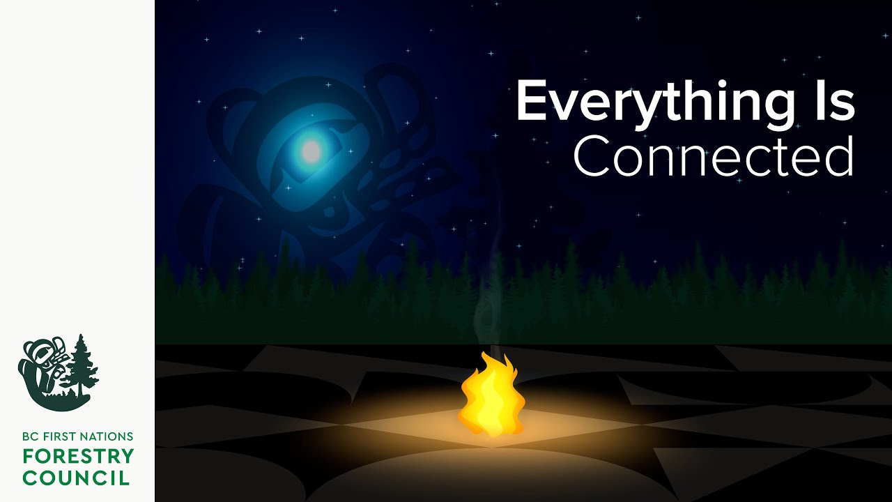 Everything Is Connected | Looping Conference Video - YouTube