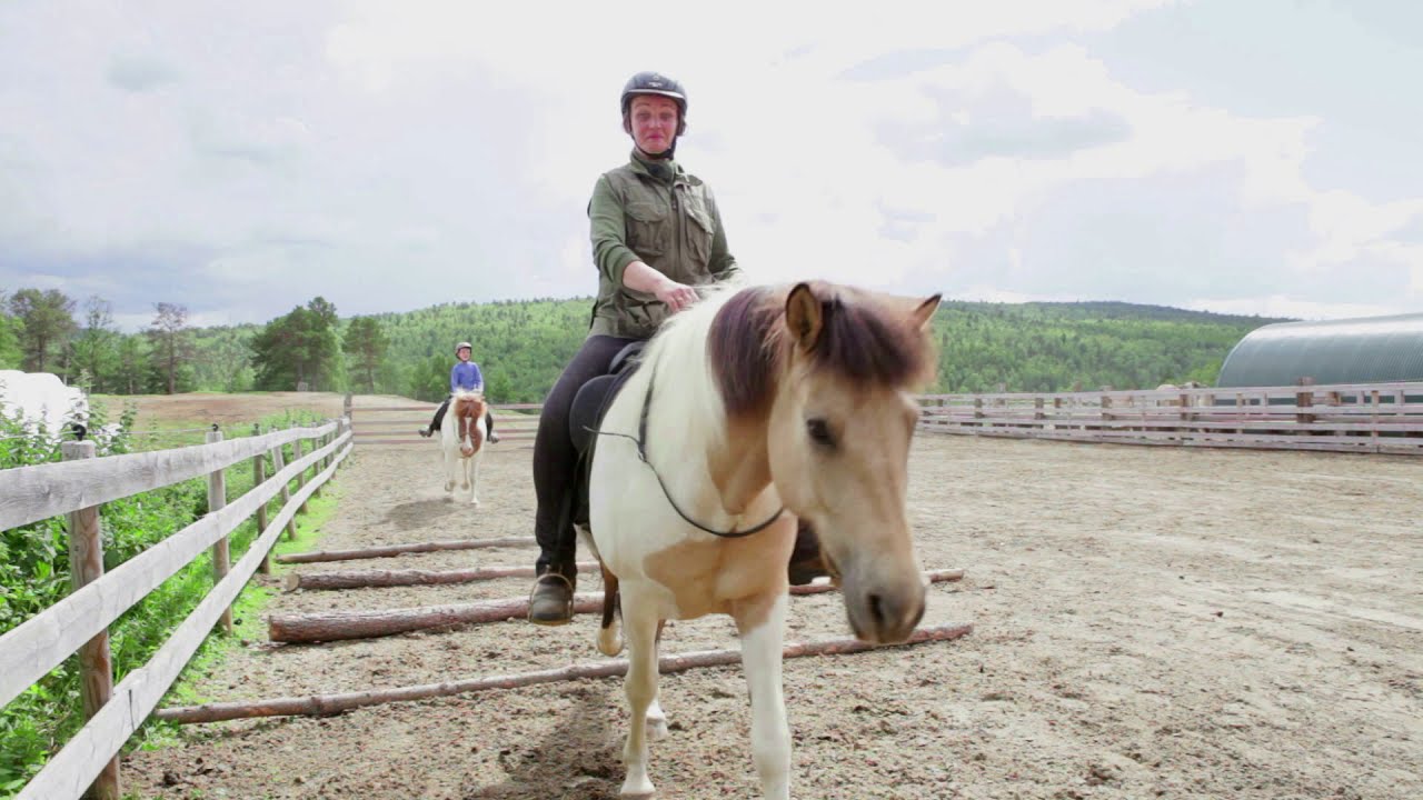 Ride and lead horses at liberty by connecting with them YouTube