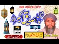 Maulana Abdul Shakoor Deen Puri Multan Punjab Pakistan Shan E Siddique Akbar RZ A 