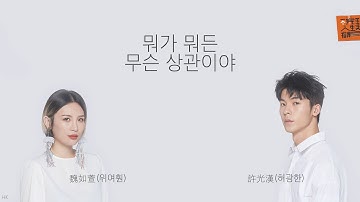 [한글자막/발음] 什麼跟什麼有什麼關係(십마근십마유십마관시)_魏如萱(위여훤)&許光漢(허광한) 不完美人生指南(불완미인생지남) Audio
