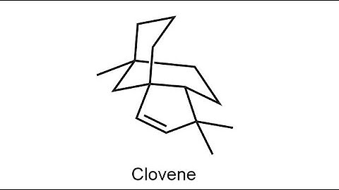 Total synthesis of clovene