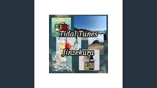 Tidal Tunes