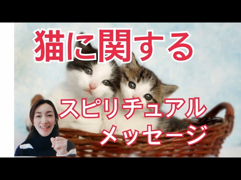 猫に関するスピリチュアルメッセージ 70 Youtube 猫に関するスピリチュアルメッセージ 70 Youtube
