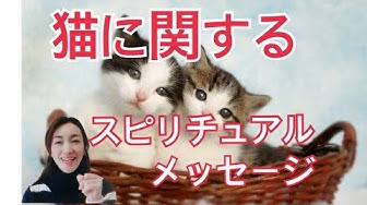 スピリチュアルメッセージ Youtube