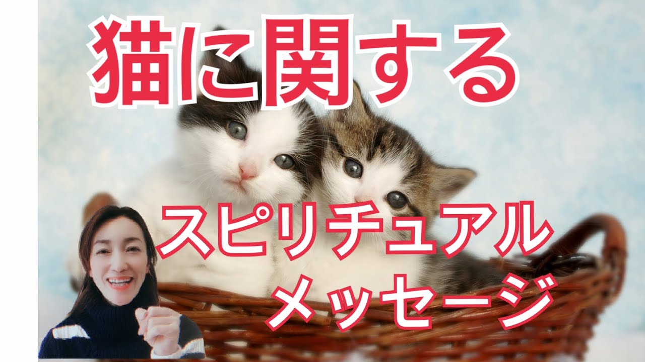猫に関するスピリチュアルメッセージ 70 Youtube 猫に関するスピリチュアルメッセージ 70 Youtube