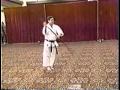 Yamani Ryu Sakugawa No Kon