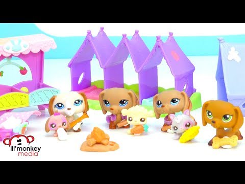 LPS Weekend Camping At The FunPark Littlest Pet Shop Camping Weekend