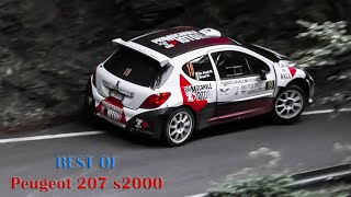 Peugeot 207 S2000 Tribute: PURE ENGINE SOUND!!